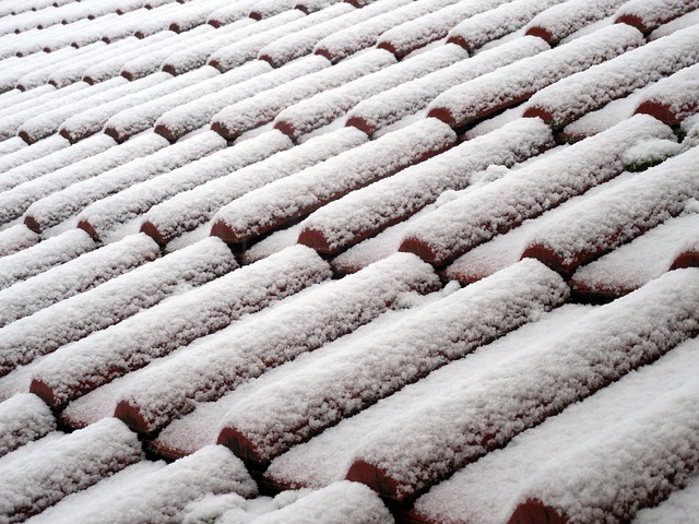 stresna krytina pokryta snehom